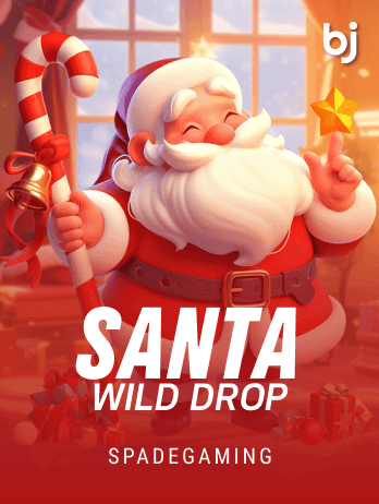 Santa Wild Droppng screenshot